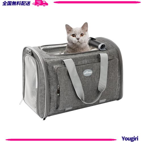 LPOTIUS ペットキャリー バッグ 折り畳み 2way 猫 小型犬 キャリー