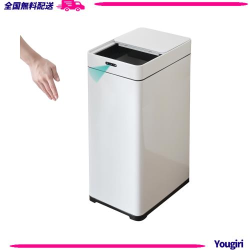 [山善] ゴミ箱 自動 スライド開閉 スリム センサー式 42L (45Lゴミ袋対応) 幅25×奥行34×高さ61.5cm ダストボックス キッチン ふた付き