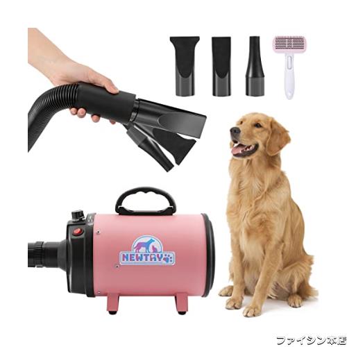 本能寺ホテル DVDスペシャル・エディション(中古品)の通販は