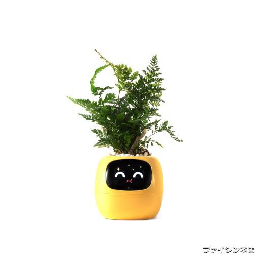PLANTSIO スマートペットプランター ロボットガイダンス 絵文字付き 絵文字付き 愛らしい植物の仲間 ジェスチャーの相互作用 きちんとしの通販は