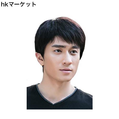 FESHFEN ウィッグ メンズ かつら ショート 人毛100％ 医療用 男性 人毛100％ カツラ うぃっぐ 手植え ネット付き フリーサイズ wig 自然