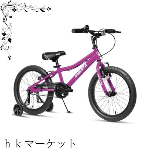 【AVASTA】Bilbo 子供MTBマウンテンバイク ファットタイヤ自転車 男の子 女の子 小学生低学年高学年 街乗り通学 取り外しチェーンケース/