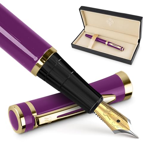 ワーズワース ＆ ブラック 万年筆セット 中字 インクカートリッジ24本とインク詰め替えコンバーター付き ギフトケース ジャーナリング カの通販は 5,173円