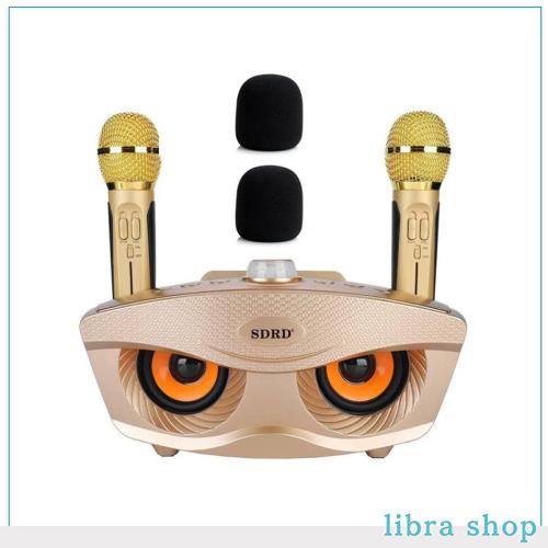 カラオケマイク 家庭用カラオケシステム ワイヤレスマイク マイク2本 有線および無線接続の通販は 7,735円