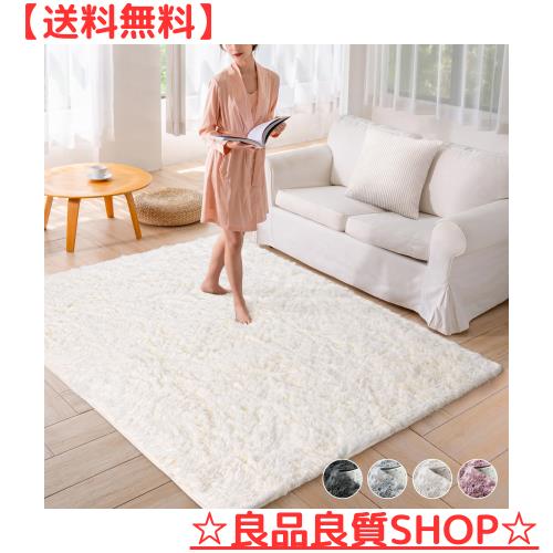 Beddiny カーペット ラグ マット シャギーラグ ホットカーペット対応 ふわふわ肌触 低反発 抗菌 防臭 防ダニ 厚手 洗える オールシーズンの通販は