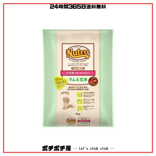 ニュートロ ナチュラルチョイス 全犬種用 子犬用 ラム＆玄米 6kg ドッグフード ドライ ふやけやすい粒 大容量