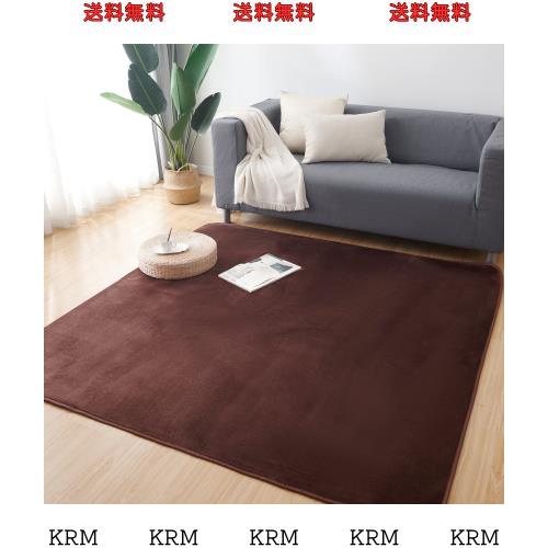 Keusnix カーペット ラグ ラグマット滑り止め付 洗える 200×300cm 約4.5畳 絨毯 防ダニ 抗菌 防臭 オールシーズン快適に使用 床暖房 ホ