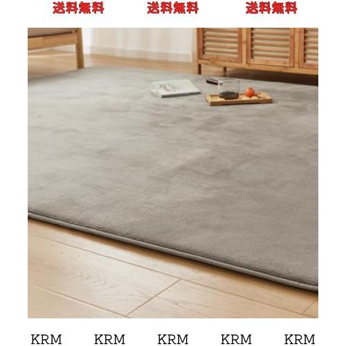 VK Ingeroom カーペット ラグ 極厚25mm 約2畳 厚手 ラグマット 防音 滑り止め付 抗菌 防臭 防ダニ 低ホルム ふわっと手触り高反発 床暖房