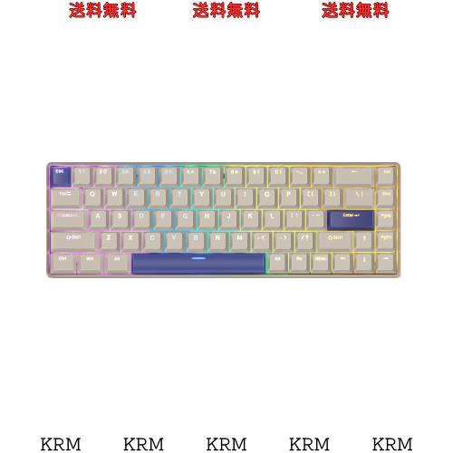 DrunkDeer G65 ラピッドトリガー キーボード メカニカル 磁気スイッチ 68キー OEMプロファイル PBTキーキャップ ダブルショット ゲーミン