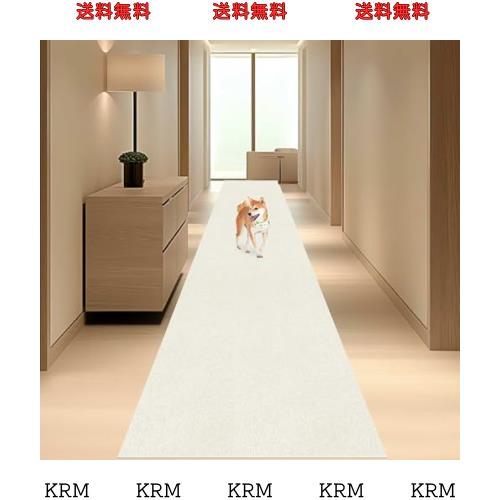極上文學 夢十夜 DVD 極上文學 夢十夜 DVD