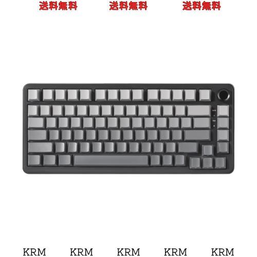 YUNZII B75 75% 有線 メカニカルキーボード ホットスワップ対応 ガスケット搭載 RGBバックライト 高耐久 英語配列 PBTキーキャップ チェの通販は