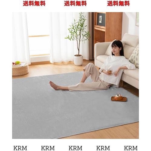 Sun Deco カーペット ラグ 洗えるラグマット 絨毯 200×245cm(約3畳) 抗菌 防臭 防ダニ 滑り止め付き オールシーズン 床暖房 ホットカーの通販は 5,182円