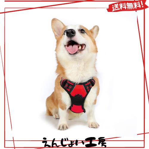 Rabbitgoo 犬 ハーネス 中型犬 13-20KG ソフト かわいい 犬用胴