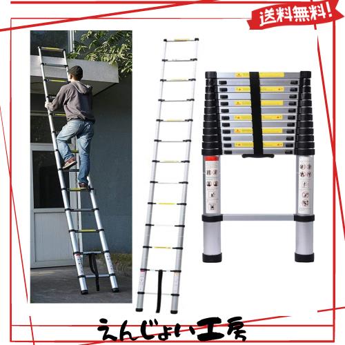DayPlus 伸縮はしご 最長5 m (16.5 ft) 折り畳み伸縮梯子 多機能アルミはしご 持ち運びに便利 軽量 耐荷重150 kg 室内室外両用 自動ロッ