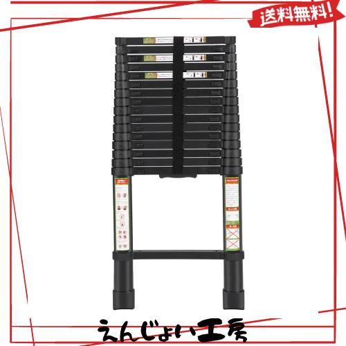 RIKADE 伸縮はしご 耐荷重150kg 軽量 持ち運びやすい 折り畳み 伸縮梯子 多機能アルミはしご 自動ロック スライド式 伸縮自在 梯子 室内の通販は