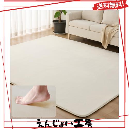Sun Deco ラグ カーペット 低反発 ラグマット 極厚 200x300cm 4畳 オールシーズン 滑り止め付 抗菌 防臭 防ダニ 踏み心地ふわふわ 厚手 の通販は
