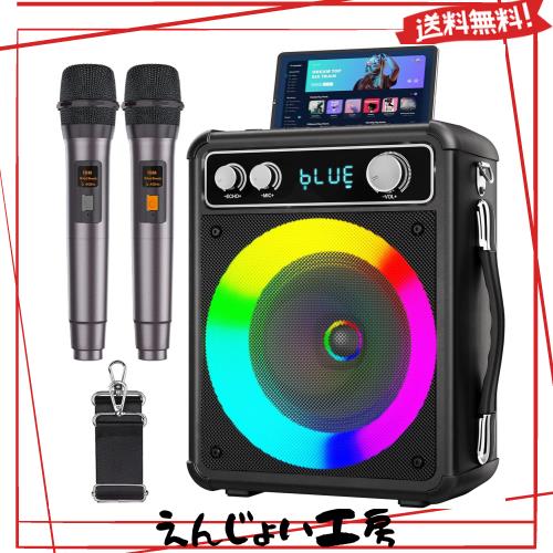VOSOCO カラオケセット ワイヤレスマイク2本 スピーカーセット 家庭用