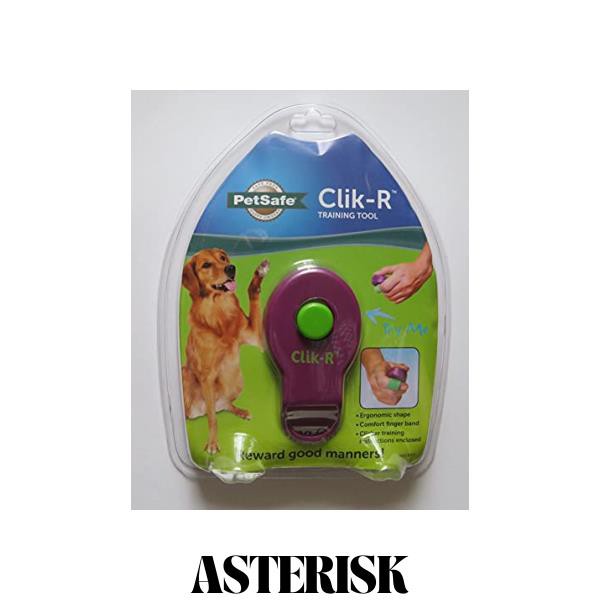 PetSafe (ペットセーフ) クリッカー パープル [並行輸入品]の