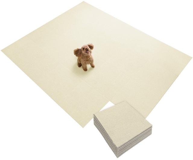 Sanko 【日本製 撥水 消臭 洗える】サンコー ずれない ジョイントマット ペット用 45×45cm アイボリー 30枚 カーペットタイプ おくだけ
