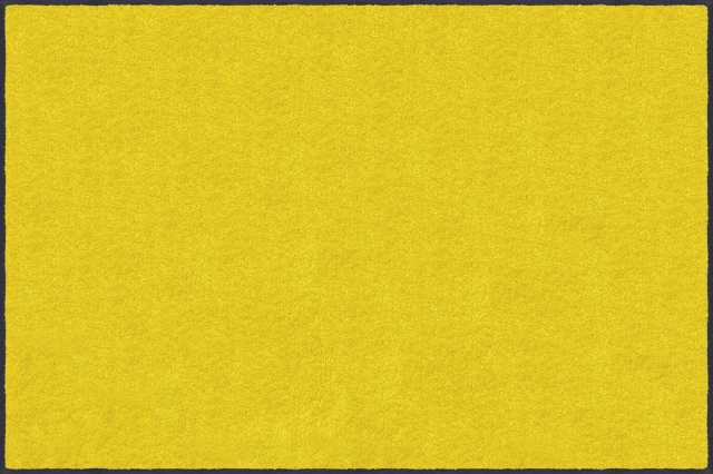日本製 クリーンテックス・ジャパン(Kleen-Tex) 万能玄関マット スタンダードマットS イエロー 45×75cm AM00001の通販は