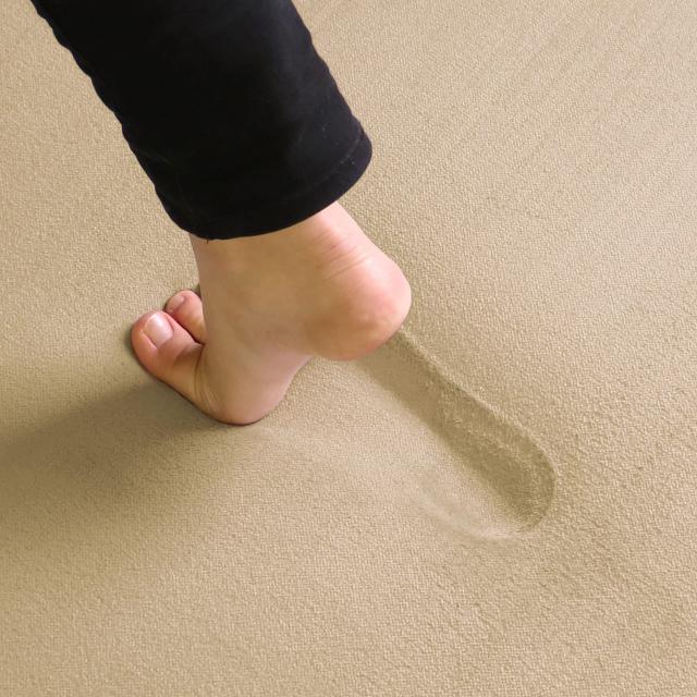 フリーリー ラグ 低反発ラグ 極厚25mm 200×250cm 抗菌・防ダニ加工 厚手 ラグマット カーペット オールシーズン 滑り止め付 マイクロフ