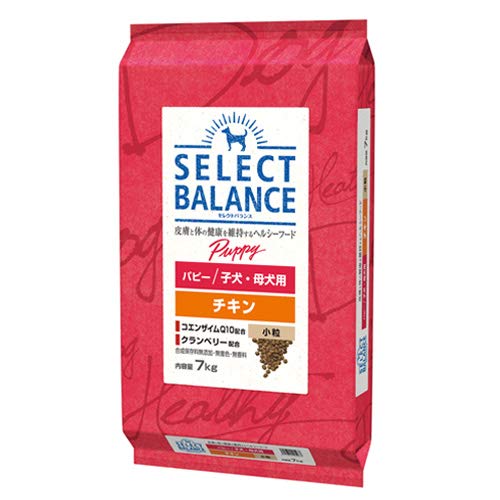 ベッツチョイス セレクトバランス パピー チキン 小粒 子犬・母犬用7kg