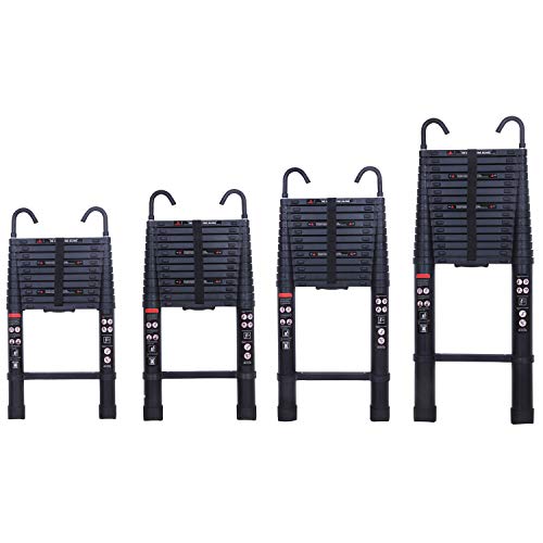 DayPlus 伸縮はしご 最長3.8 m (12.5 ft) 折り畳み伸縮梯子 フック付き 多機能アルミはしご 持ち運びに便利 軽量 耐荷重150 kg 室内室外