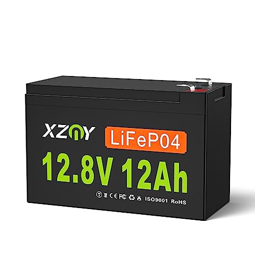 XZNY? 12V 12Ah LiFePO4 リチウム鉄リン酸電池、12V 12Ahの充電式ディープサイクルリチウムバッテリーは10年の耐用年数を持つ、10AのBMS