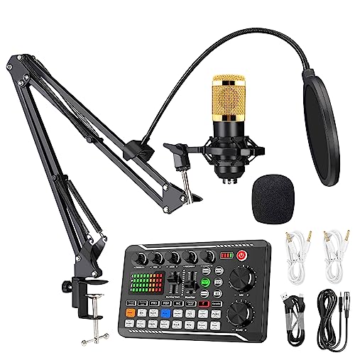 BONKYO カラオケセット家庭用 DJ ミキサー セット F998 ライブ サウンドカード 男声 女声 ボイスチェンジャー/マイク スタンド タブレッ