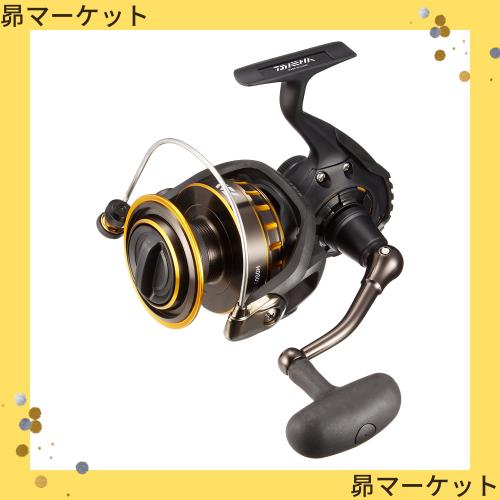 ダイワ(DAIWA) スピニングリール 16 BG 5000H (2016年) ダイワ(DAIWA) スピニングリール 16 BG 5000H (2016モデル)