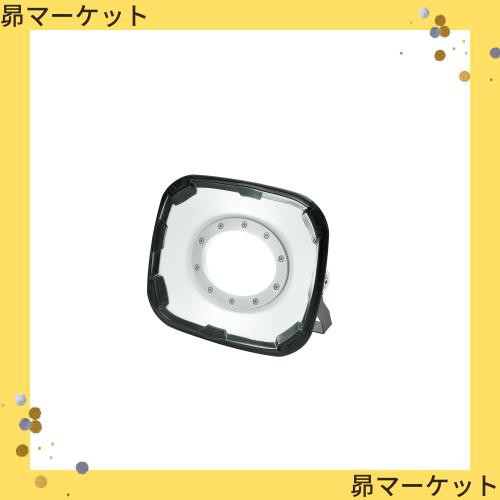 高儀 EARTH MAN LEDワークライト 60W WLT-60LAの通販は