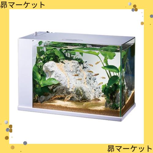 ジェックス GEX ガラス AQUARIUM ラクテリア 水換え簡単水槽 サカナ用 フィルター・LED付き W34×D17.5×H24cmホワイトの通販は
