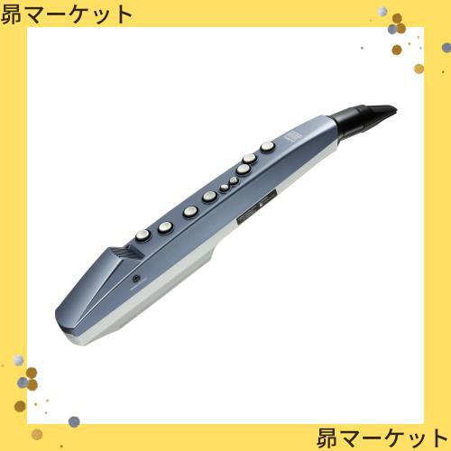 ローランド Roland/AEROPHONE AE-01 デジタル管楽器 リコーダー運指 アプリ/Bluetooth対応