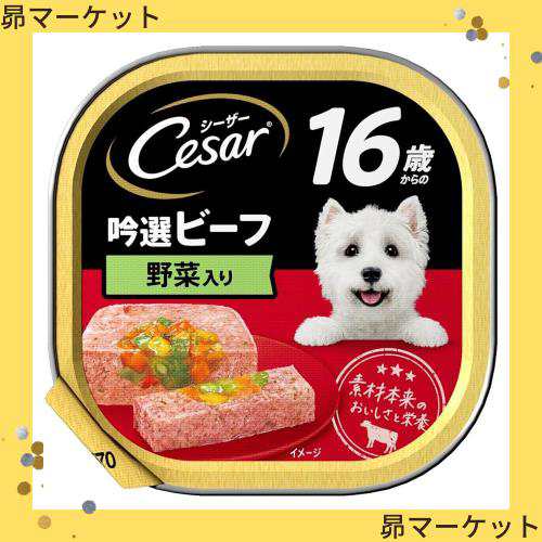 シーザートレイ ドッグフード 16歳からの 吟選ビーフ 野菜入り 16歳以上 100g×24個(まとめ買い)
