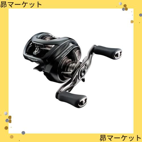 ダイワ(DAIWA) バスベイトリール 24STEEZ(スティーズ) SV TW 100XHL (2024年モデル)