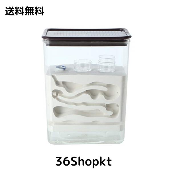 EnergyPower アリ飼育キット 石膏製巣箱 デジタル湿度/温度計付 土やゲルを使用しないので腐らず清潔 お子様でも安心の観察キット 最初かの通販は