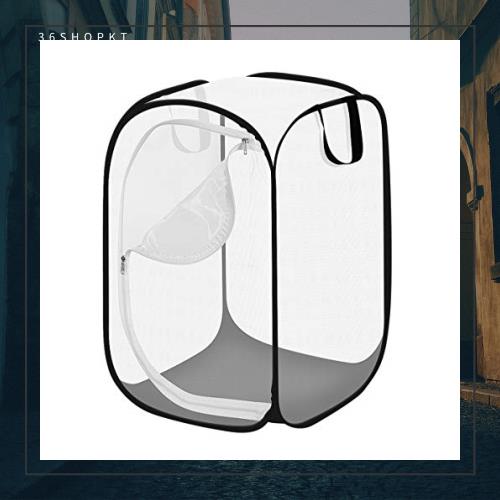 昆虫飼育箱 昆虫ケース 昆虫 かご 折りたたみ式 蝶 トンボ 標本 採集 昆虫観察 透明