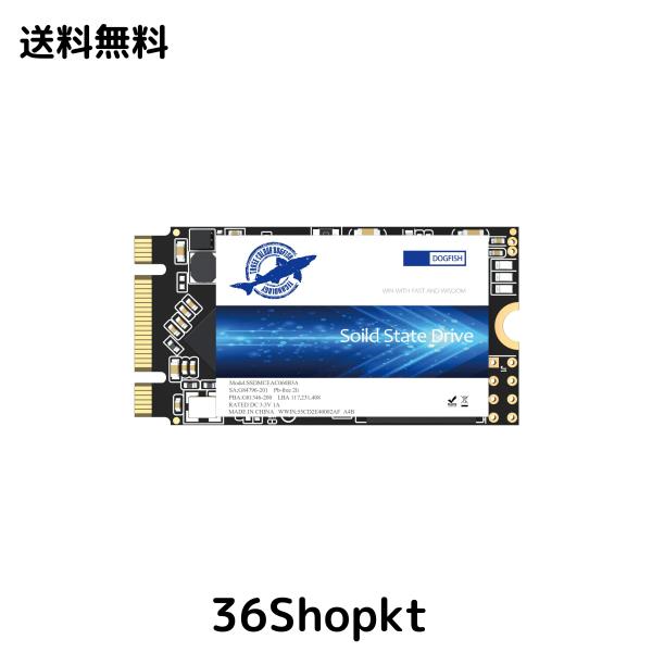 Dogfish SSD M.2 2242 250GB Solid State Drive Ngff内蔵ソリッドステートドライブ高性能ハードドライブ (250GB, M.2 2242)