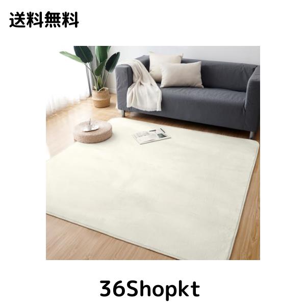 Keusnix カーペット ラグ ラグマット滑り止め付 洗える 200×300cm 約4.5畳 絨毯 防ダニ 抗菌 防臭 オールシーズン快適に使用 床暖房 ホ