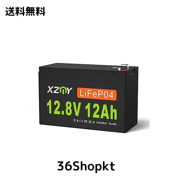 XZNY? 12V 12Ah LiFePO4 リチウム鉄リン酸電池、12V 12Ahの充電式ディープサイクルリチウムバッテリーは10年の耐用年数を持つ、10AのBMSの通販は 9,855円