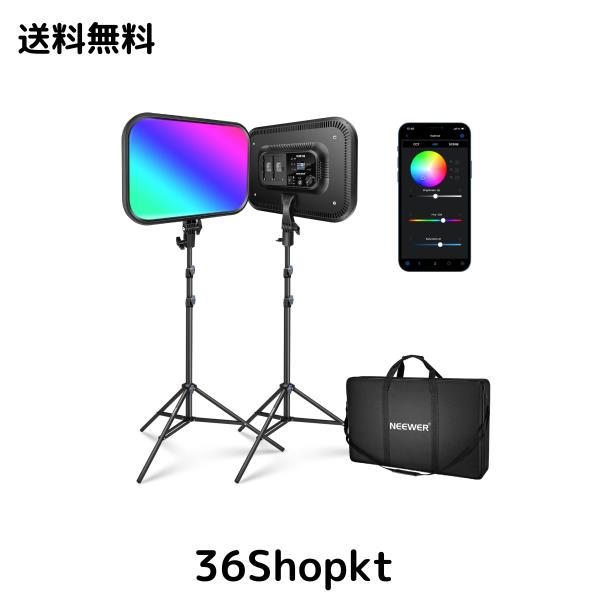 2024年 干支絵 辰 龍 京都大吉 杉本立夫 色紙 オリジナル 「龍