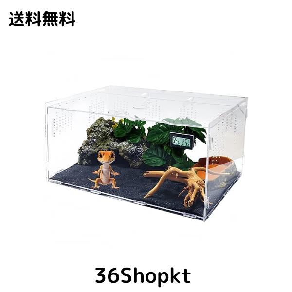 Niesporek 爬虫類 トカゲ ケージ カナヘビ飼育ケース レプタイル