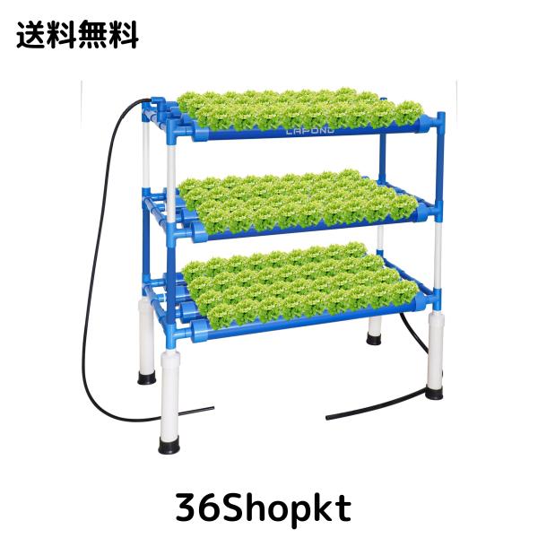 2024高級版】LAPOND水耕栽培システム 4列3層 青い食品級PVC-U管水耕