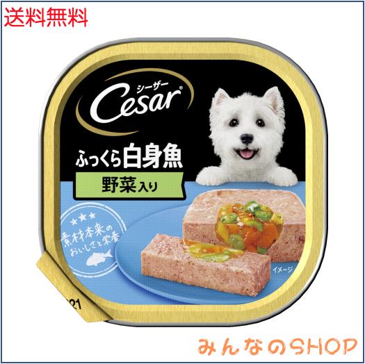 シーザー トレイ 成犬用 100g×24個 ふっくら白身魚 野菜入り 水分補給 ふわふわローフタイプ 総合栄養食 ウェットフード ドッグフード