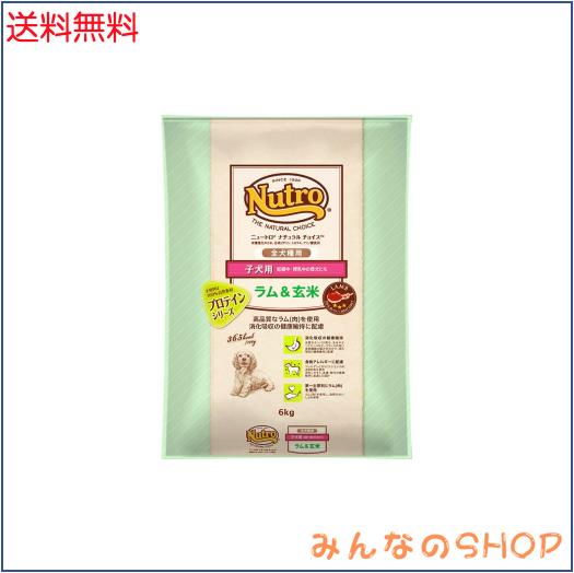 Nutro ナチュラルチョイス 子犬用 全犬種用 ラム＆玄米 6kg ドライフード ふやけやすい粒 総合栄養食 子いぬ用 パピー 妊娠中・授乳中の母