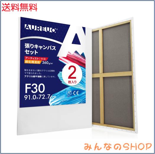 AUREUO 張りキャンバス セット F30 (91.0cmX72.7cm) 中目 綿化繊混紡 2枚 初心者 絵画用具 芸術絵創作 現代油絵 美術装飾 水彩画・油絵画の通販は