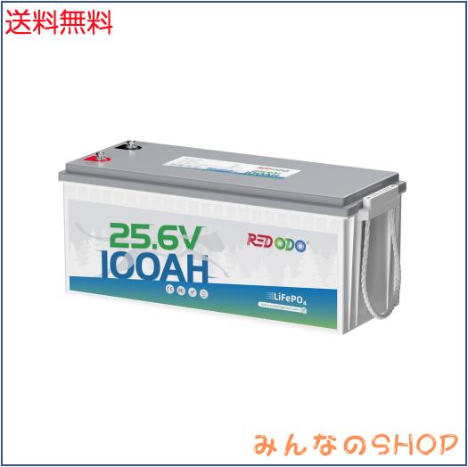 Redodo 12V 100Ah Mini  1280Wh ミニサイズ 省スペース LiFePO4 10年寿命 小型 軽量 キャンピングカー用 釣り サブバッテリー 家庭蓄電