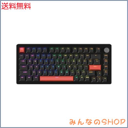 DrunkDeer A75 ラピッドトリガー キーボード メカニカル TKL 磁気スイッチRGB 有線 USB コンパクトゲーミング用 82 DrunkDeer A75 ラピッドトリガー キーボード メカニカル ゲーミング用