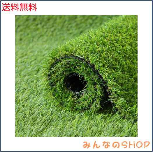 人工芝 ロール 2mx10m リアル感 芝丈30mm 高耐久 透水タイプ 防草シート 48本ピン付き フレッシュグリーン (2×10m)の通販は