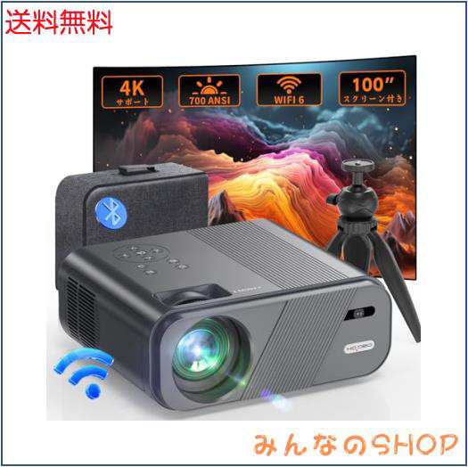 革新版家庭用・ビジネス両用＆100”スクリーン付き】HOVOBO